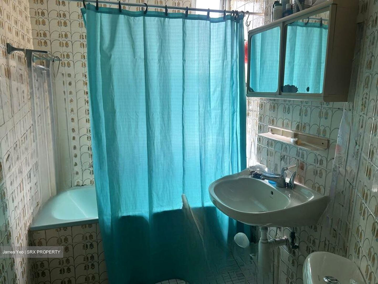 Pandan Valley (D21), Condominium #571826751
